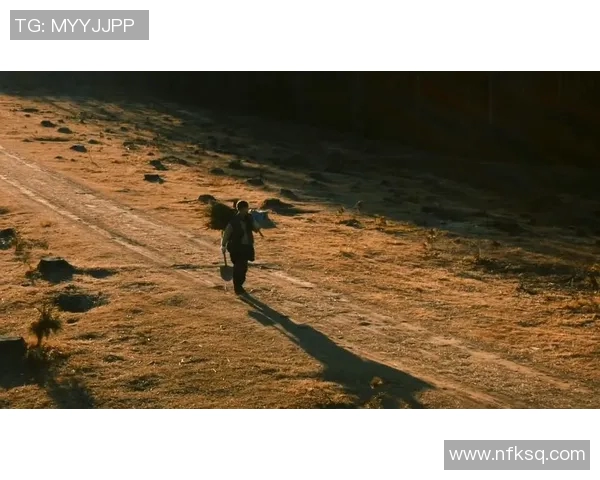 麦卡利斯特的传奇之路：从草根到巅峰的奋斗与荣耀